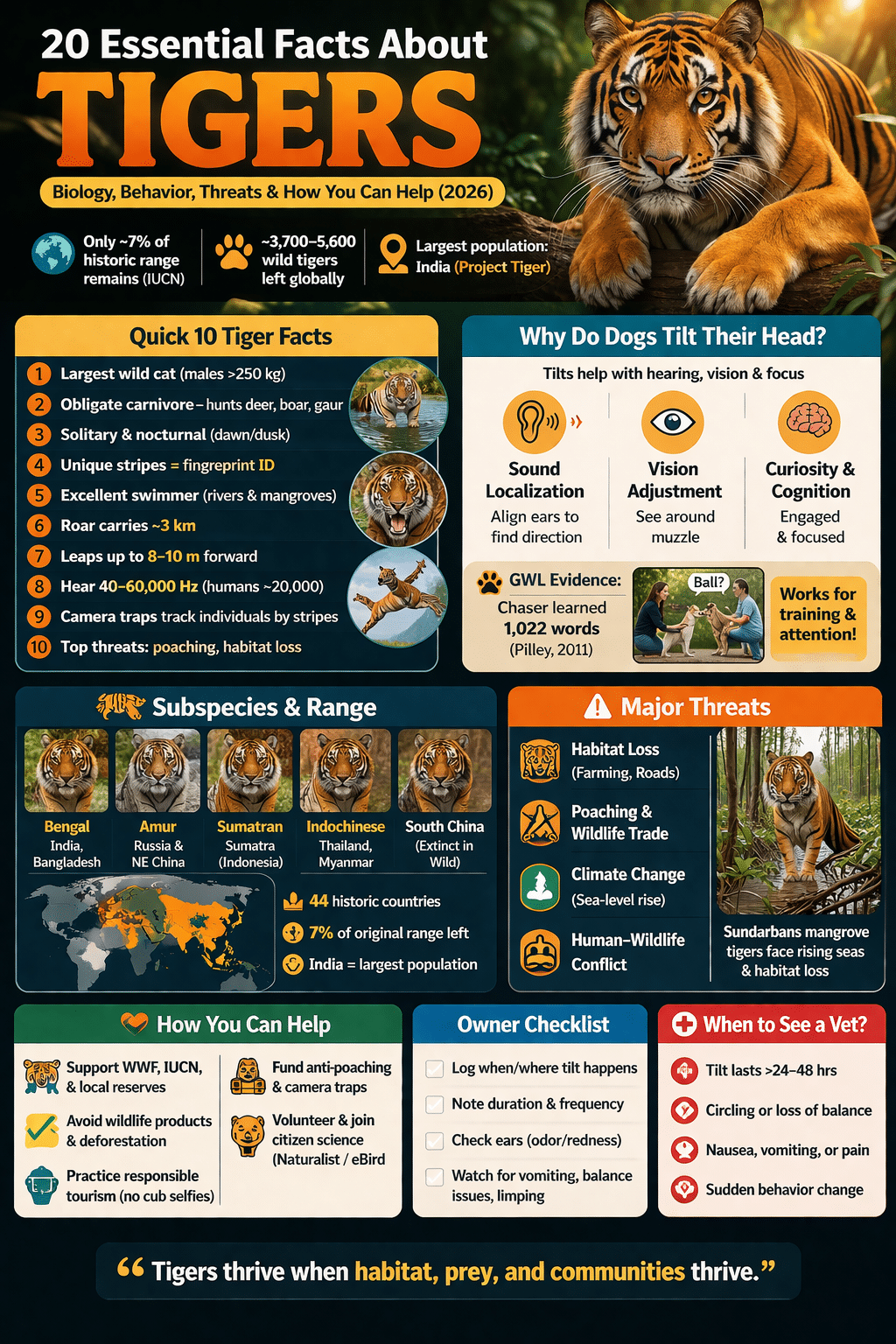 tiger facts