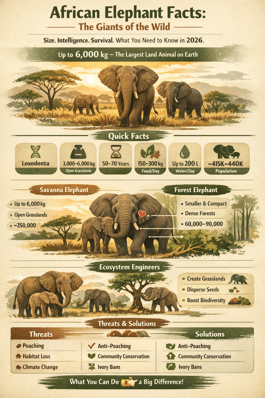 african elephant facts