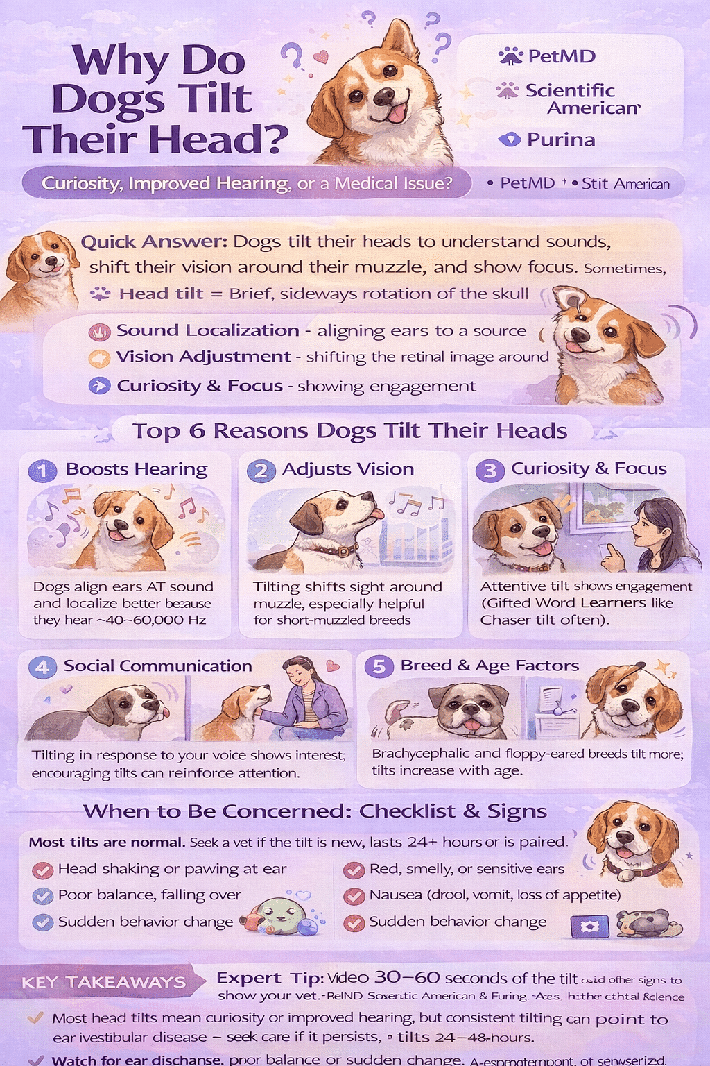 why do dogs tilt their head