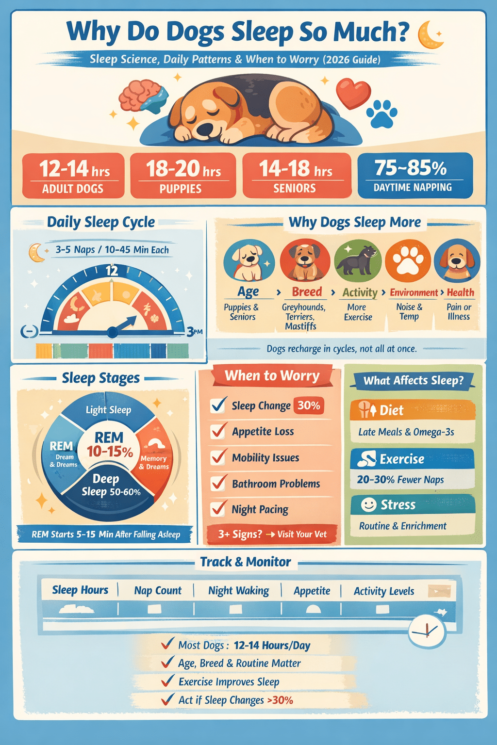 Why Do Dogs Sleep So Much