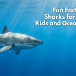 Fun Facts About Sharks for Curious Kids and Ocean Lovers featured image