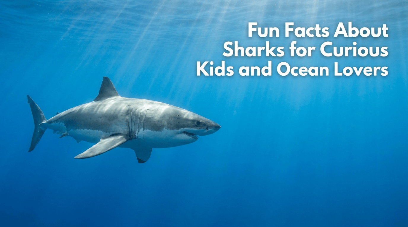 Fun Facts About Sharks for Curious Kids and Ocean Lovers featured image