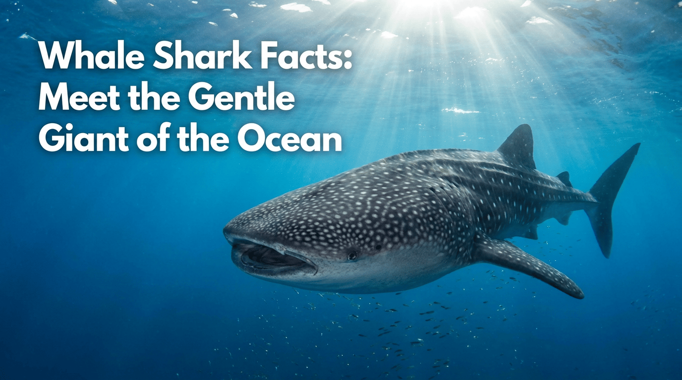Whale Shark Facts: Meet the Gentle Giant of the Ocean featured image