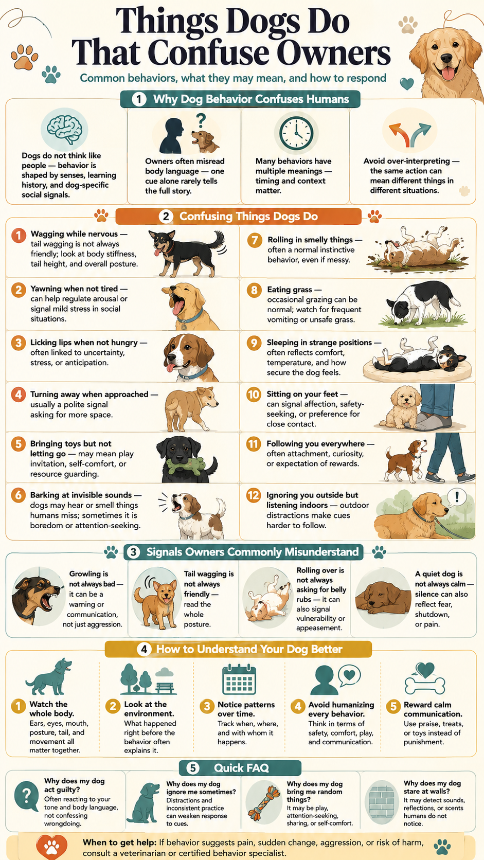 Things Dogs Do That Confuse Owners