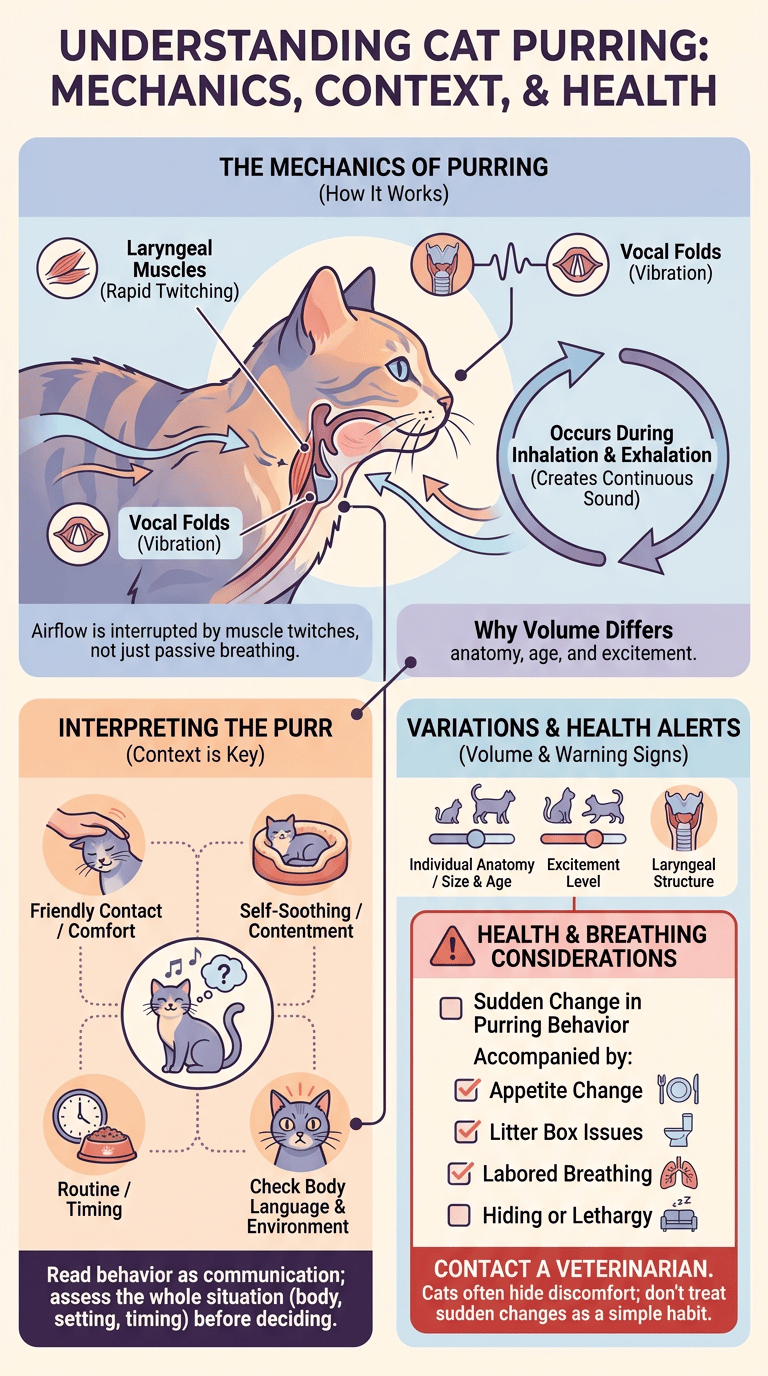 Why Do Cats Purr? How Cat Purring Works infographic
