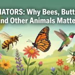 Pollinators: Why Bees, Butterflies, and Other Animals Matter thumbnail