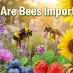 Why Are Bees Important? thumbnail