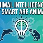 Animal Intelligence: How Smart Are Animals?