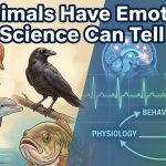 Do Animals Have Emotions? What Science Can Tell Us