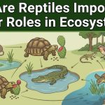 Why Are Reptiles Important? Their Roles in Ecosystems