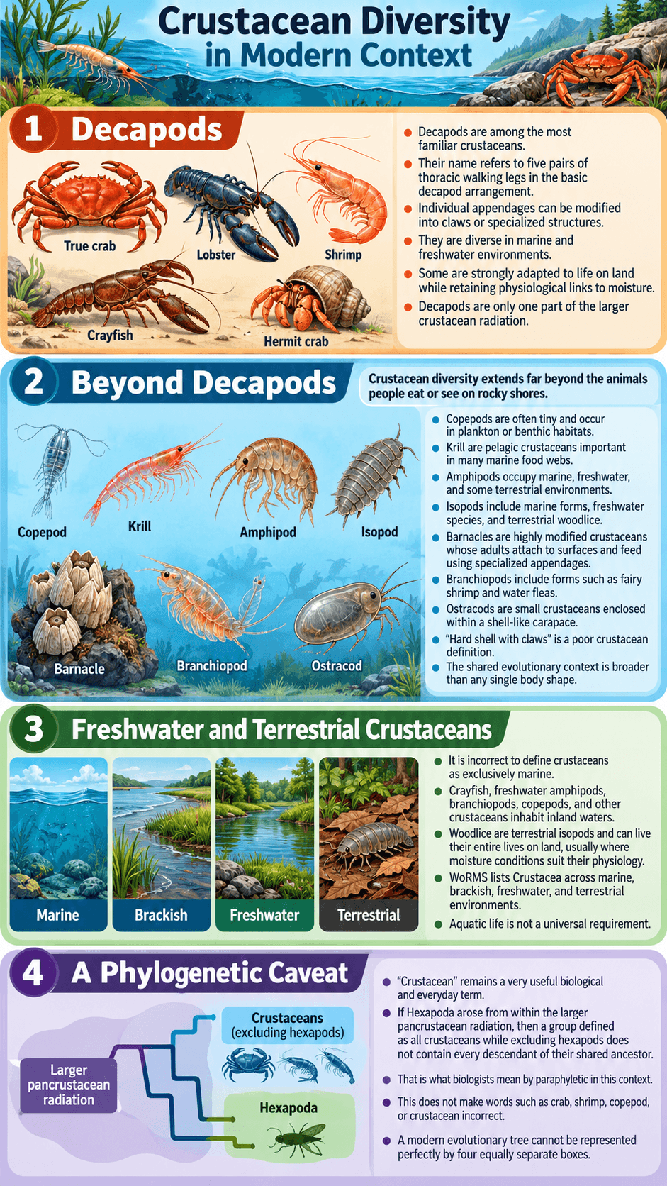 Crustacean Diversity in Modern Context
