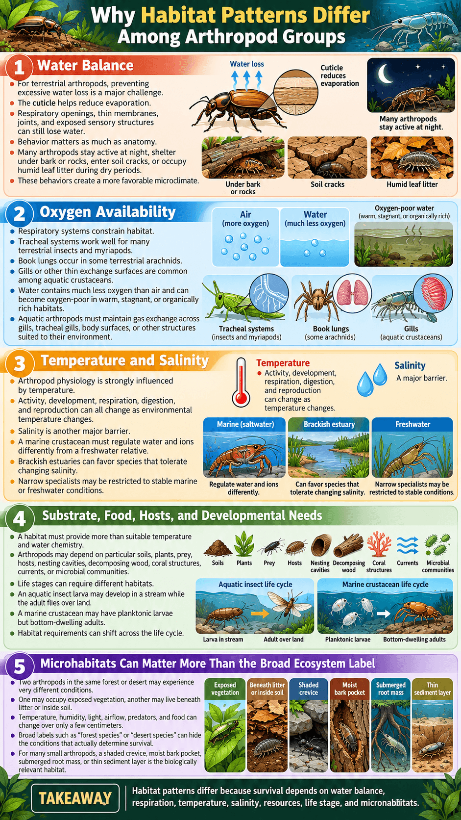 Why Habitat Patterns Differ Among Arthropod Groups